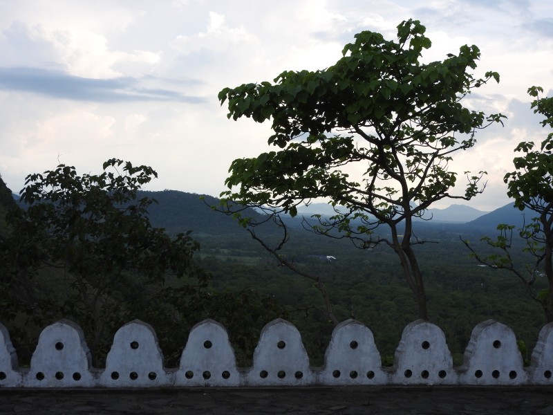 11 Dambulla